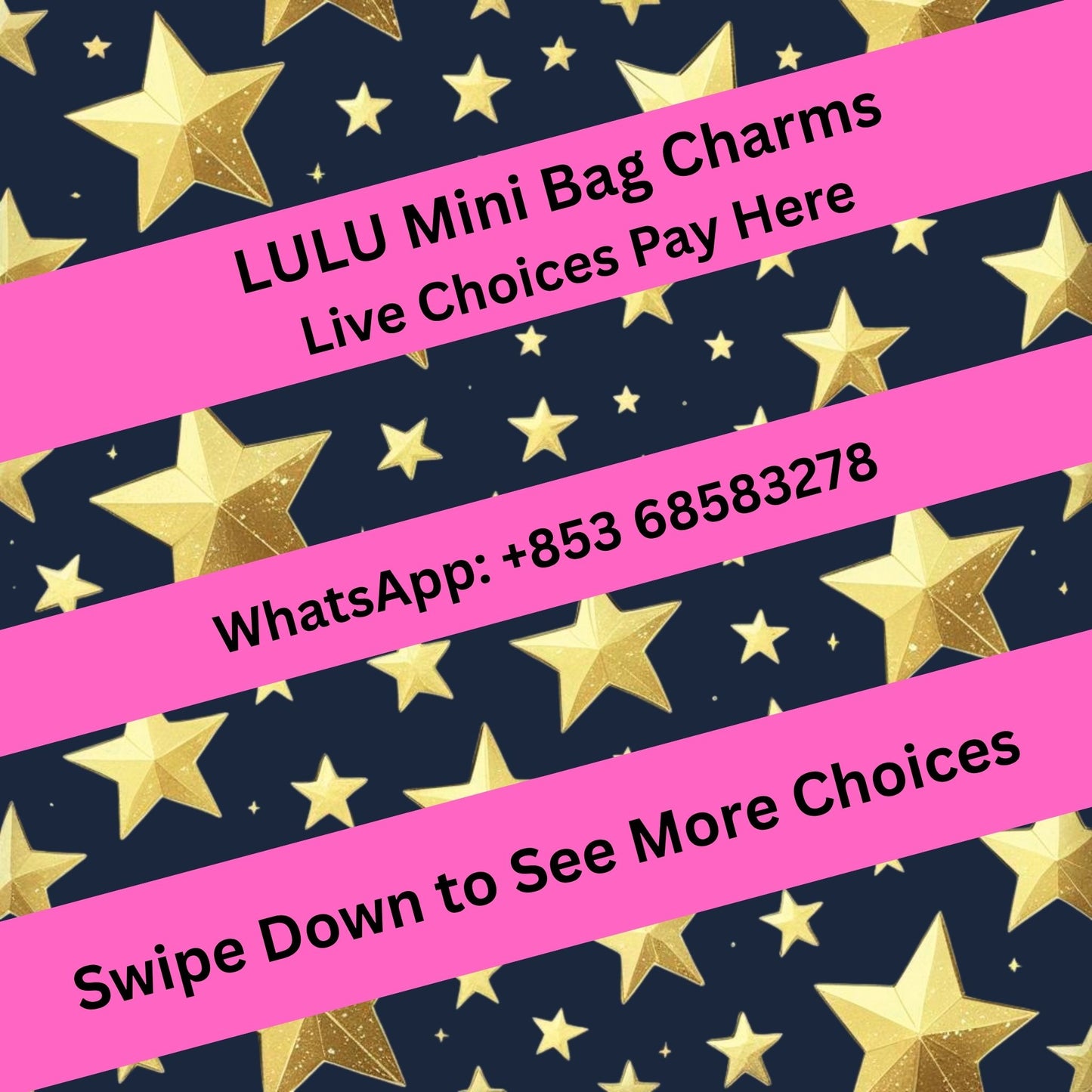 【Order for Tiktok Live】Luxury Crafted Mini Bags
